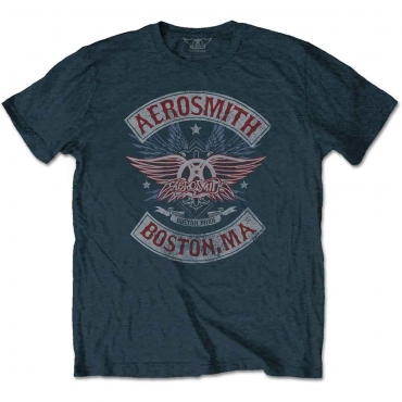 Aerosmith Boston Pride Marškinėliai