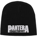 Pantera Cowboys from Hell Žieminė Kepurė