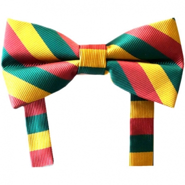 Lithuania National Colors Butterfly