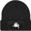 Vytis Beanie