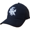 Stylized Vytis Cap