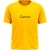 Lithuania Tee With Vytis On The Back thumbnail