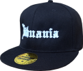 Lithuania Snapback Cap