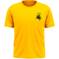 Lithuania Football Tee (flag on the back)