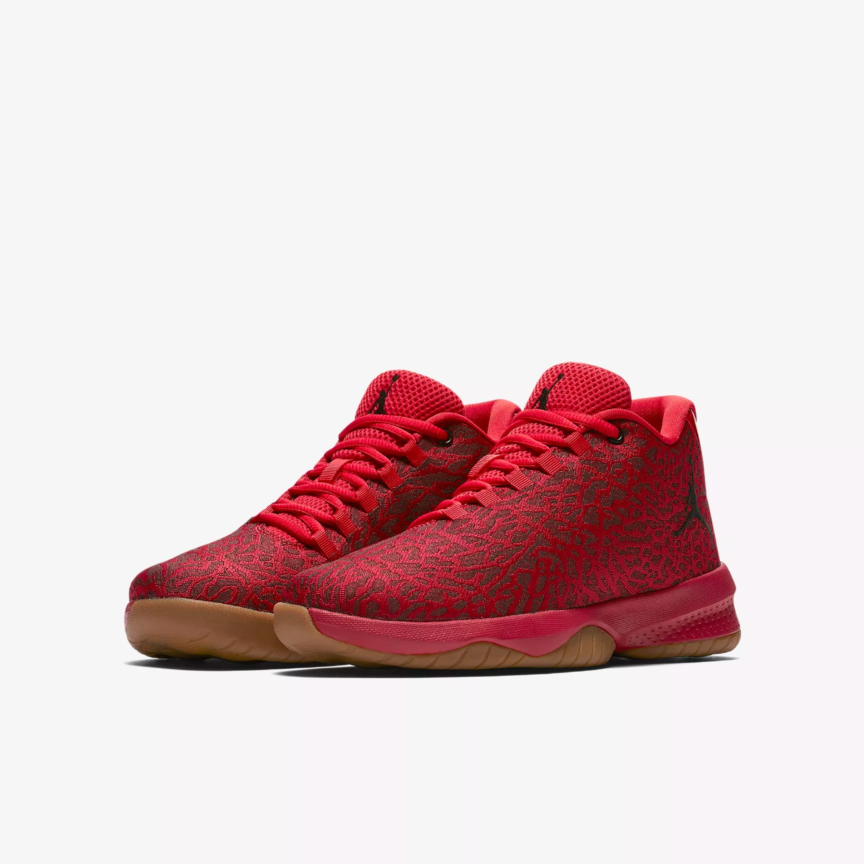 Jordan b picture 15