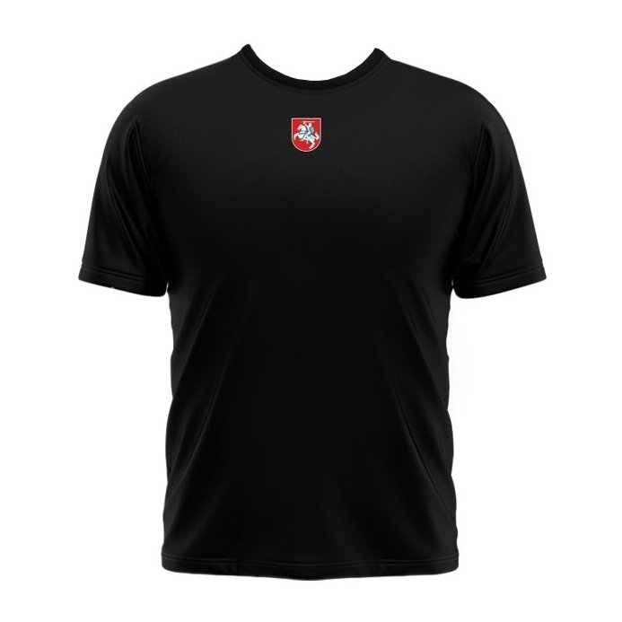 Kid's T-shirt Lithuania With Vytis On The Back 1