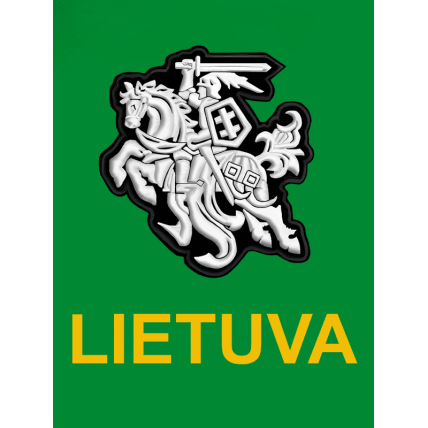 Džemperis Stilizuotas Vytis 1