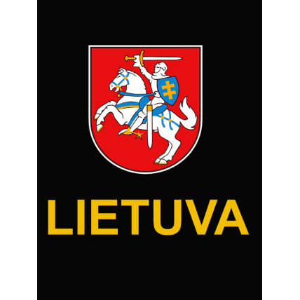 Džemperis Vytis 1 Džemperis Vytis 1
