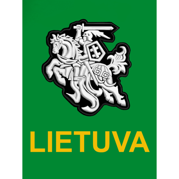 Džemperis Stilizuotas Vytis 1 Džemperis Stilizuotas Vytis 1