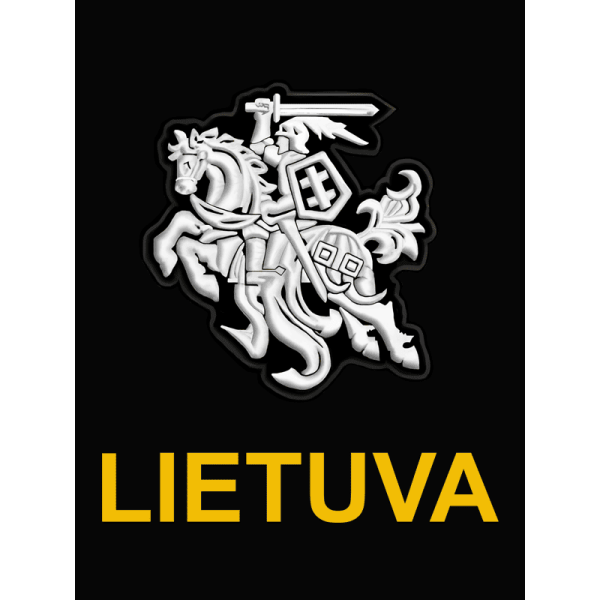 Džemperis Stilizuotas Vytis 1 Džemperis Stilizuotas Vytis 1