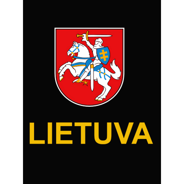 Džemperis Vytis 1