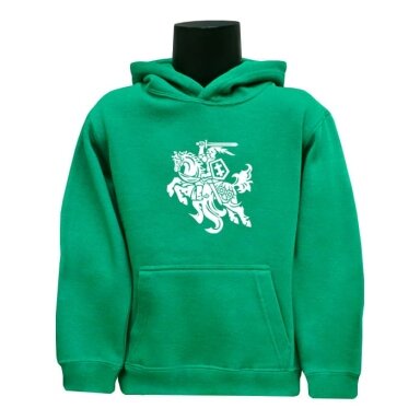 Junior Hoodie Stylized Vytis