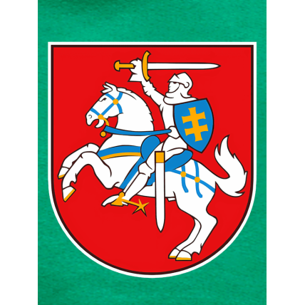 Vaikiškas Džemperis Vytis Lietuva 1 Vaikiškas Džemperis Vytis Lietuva 1