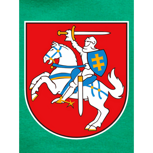 Vaikiškas Džemperis Vytis Lietuva 1