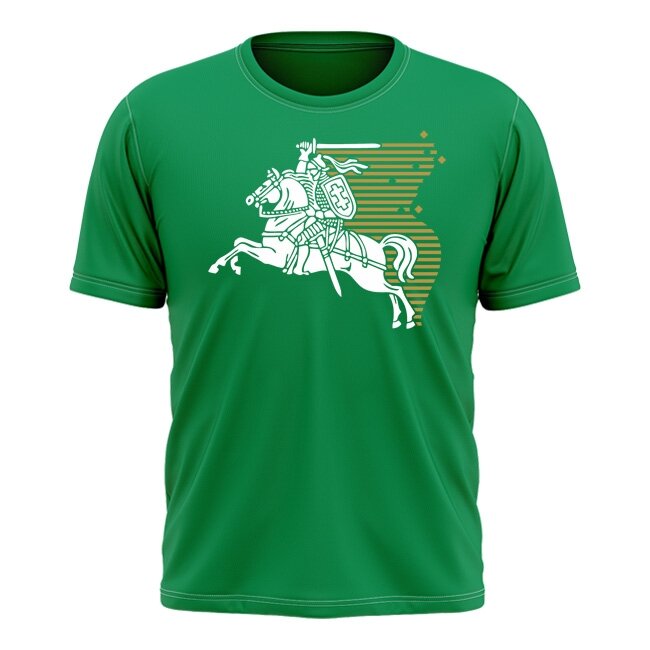 Junior T-Shirt Old Vytis