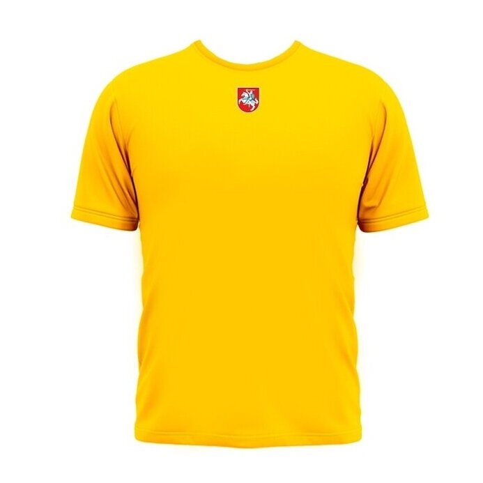 Kid's T-shirt Lithuania With Vytis On The Back 1