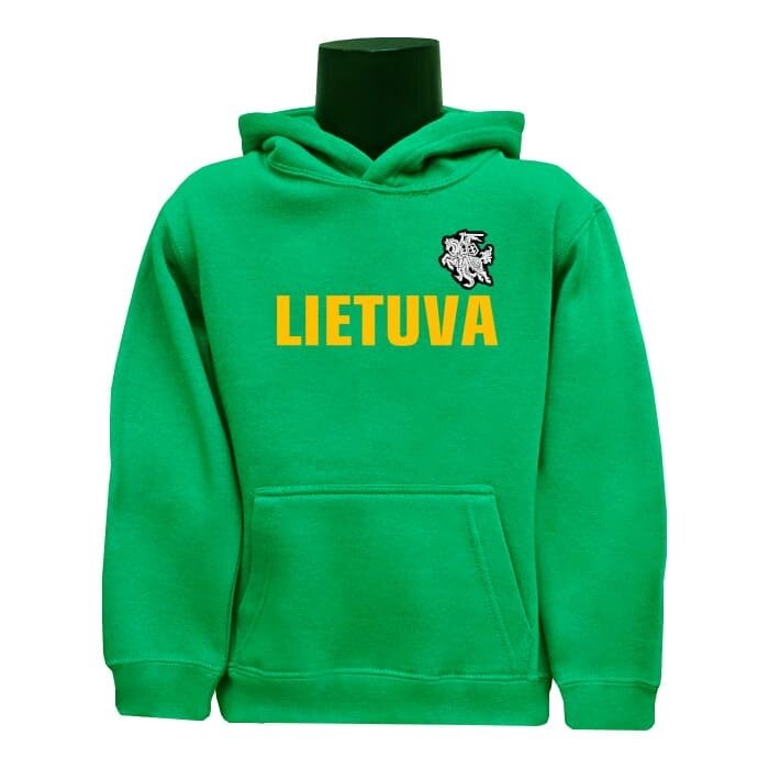 Junior Hoodie Stylized Vytis